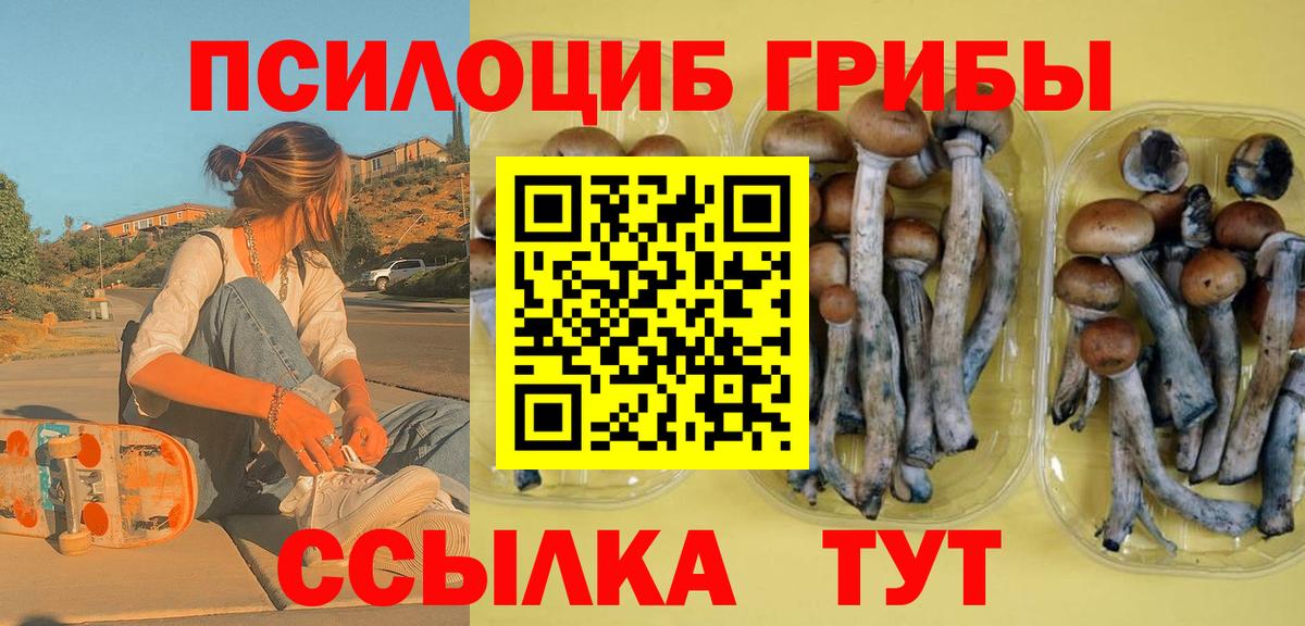 Галлюциногенные грибы мухоморы  Вход с VPN  Луга 